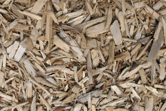 biomass boilers Tregellist
