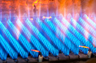 Tregellist gas fired boilers